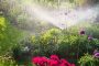 Основные преимущества автоматического полива сада